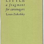 Little a fragment for careenagers, Cover